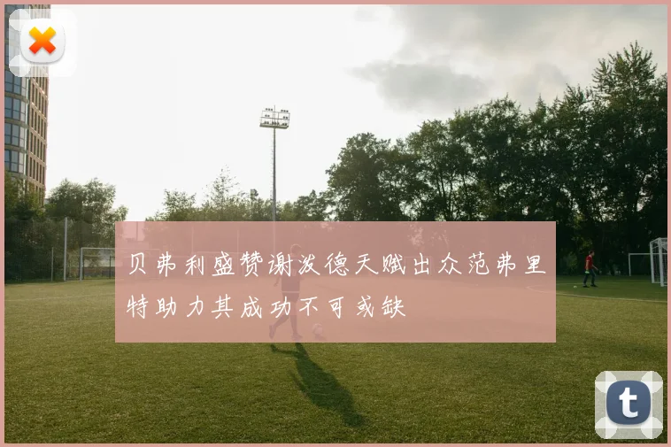 贝弗利盛赞谢泼德天赋出众范弗里特助力其成功不可或缺