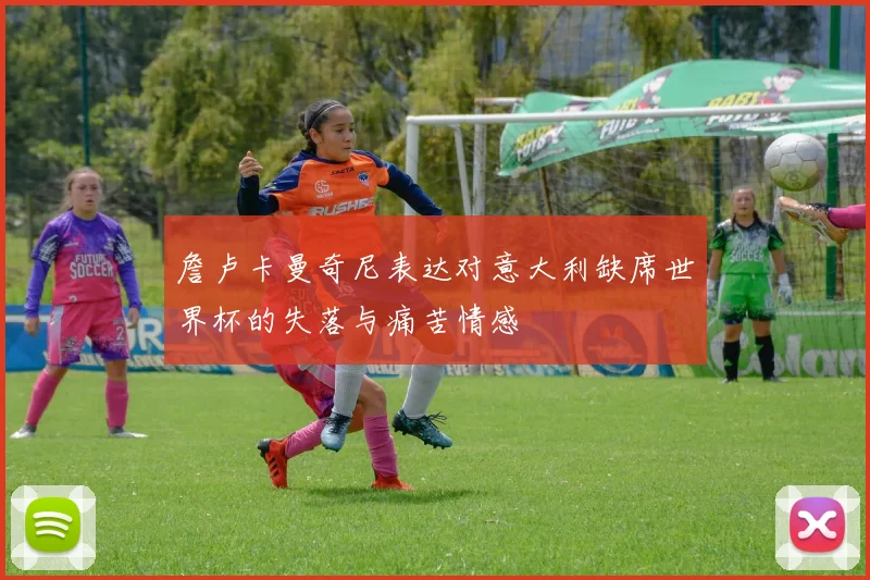 詹卢卡曼奇尼表达对意大利缺席世界杯的失落与痛苦情感